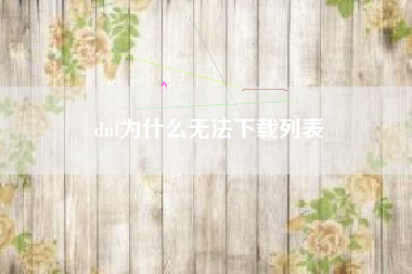 dnf为什么无法下载列表