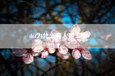 dnf为什么有人带主线