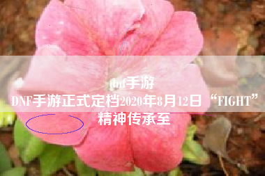 dnf手游 
DNF手游正式定档2020年8月12日“FIGHT”精神传承至