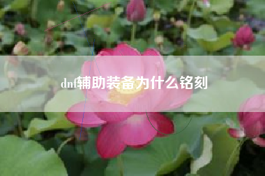 dnf辅助装备为什么铭刻