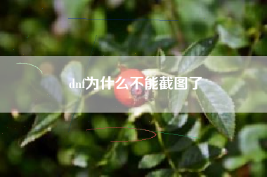 dnf为什么不能截图了