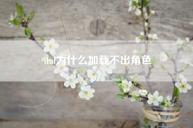 dnf为什么加载不出角色