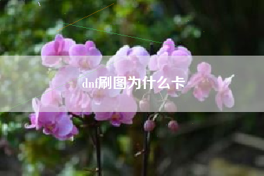 dnf刷图为什么卡