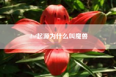 dnf起源为什么叫魔兽