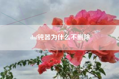 dnf钝器为什么不删除