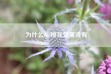为什么dnf桃花效果没有