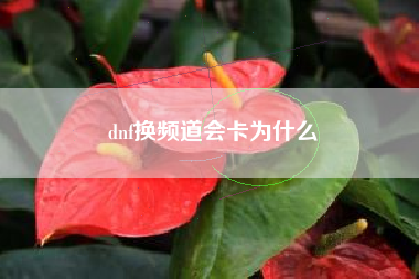 dnf换频道会卡为什么