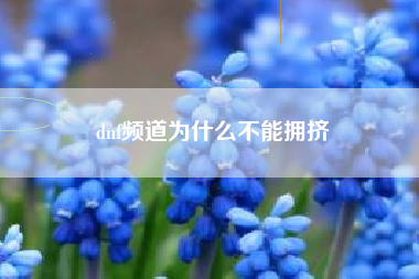 dnf频道为什么不能拥挤