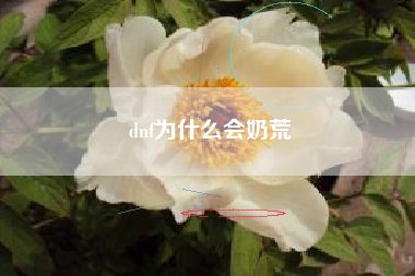 dnf为什么会奶荒