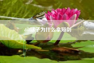 dnf瞎子为什么拿短剑