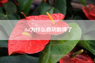 dnf为什么自动翻牌了