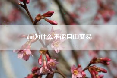 dnf为什么不能自由交易