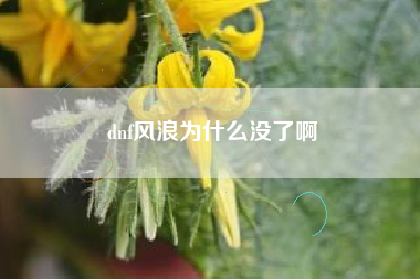 dnf风浪为什么没了啊