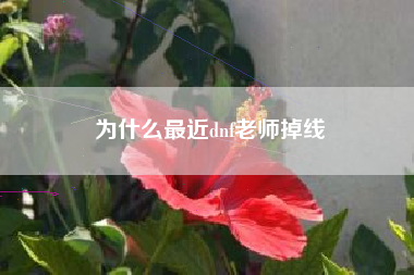 为什么最近dnf老师掉线