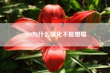 dnf为什么强化不能增幅