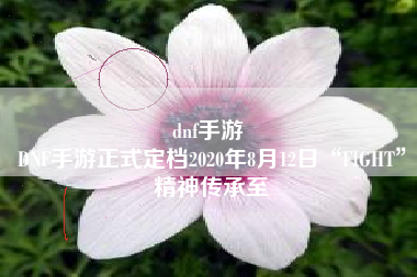 dnf手游 
DNF手游正式定档2020年8月12日“FIGHT”精神传承至