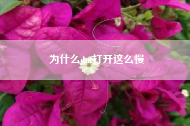 为什么dnf打开这么慢