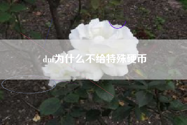 dnf为什么不给特殊硬币