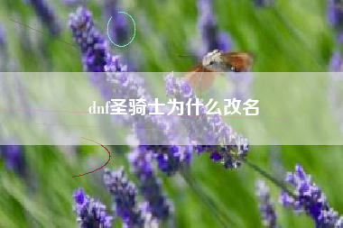 dnf圣骑士为什么改名