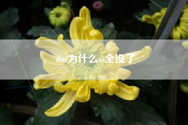 dnf为什么ss全没了