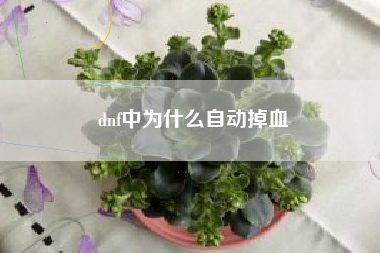 dnf中为什么自动掉血