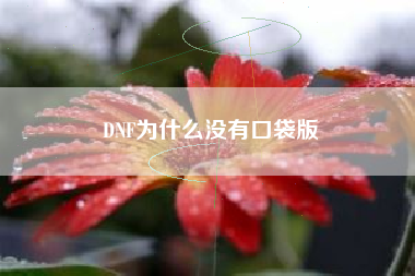 DNF为什么没有口袋版