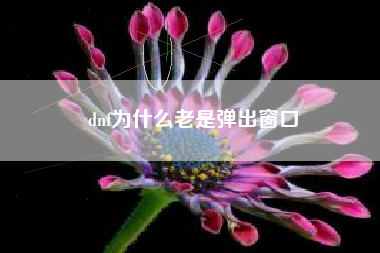 dnf为什么老是弹出窗口