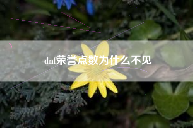 dnf荣誉点数为什么不见