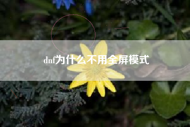 dnf为什么不用全屏模式