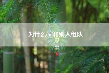 为什么dnf和别人组队