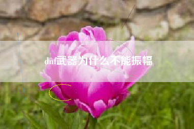 dnf武器为什么不能振幅