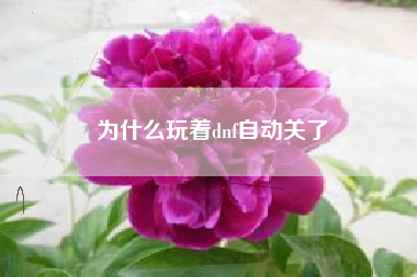 为什么玩着dnf自动关了