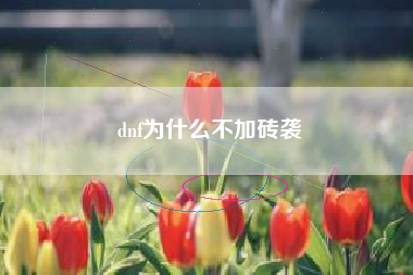 dnf为什么不加砖袭
