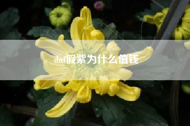 dnf假紫为什么值钱
