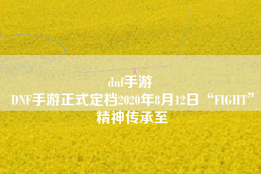dnf手游 
DNF手游正式定档2020年8月12日“FIGHT”精神传承至
