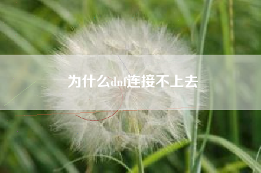 为什么dnf连接不上去