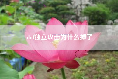 dnf独立攻击为什么掉了