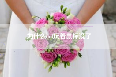 为什么dnf玩着鼠标没了