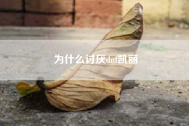 为什么讨厌dnf凯丽