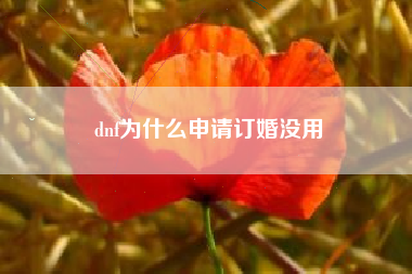 dnf为什么申请订婚没用
