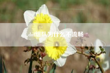dnf组队为什么不流畅