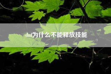 dnf为什么不能释放技能