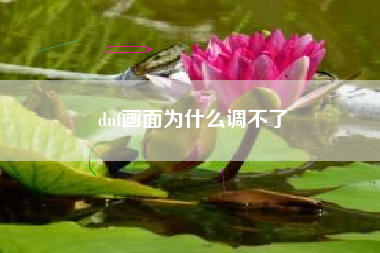dnf画面为什么调不了