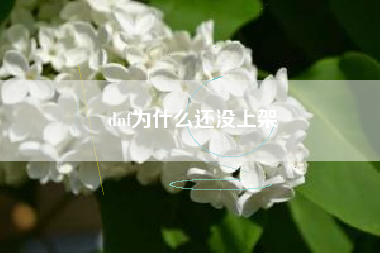 dnf为什么还没上架