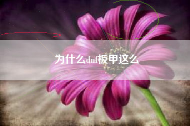 为什么dnf板甲这么
