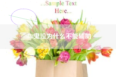 dnf鬼泣为什么不能辅助