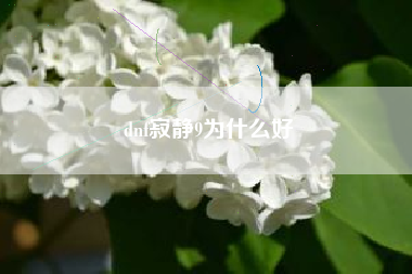 dnf寂静9为什么好