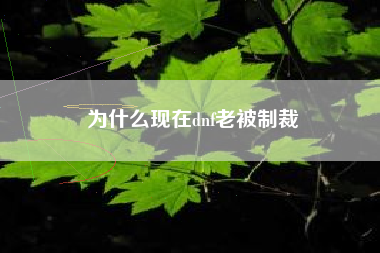 为什么现在dnf老被制裁
