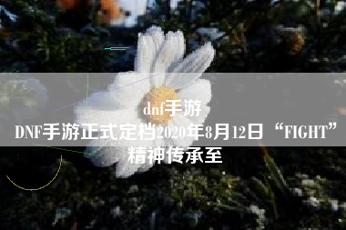 dnf手游 
DNF手游正式定档2020年8月12日“FIGHT”精神传承至