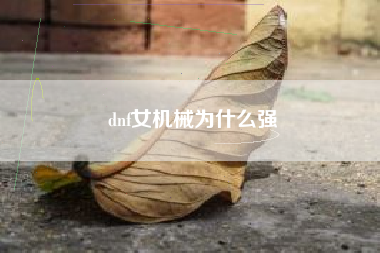 dnf女机械为什么强